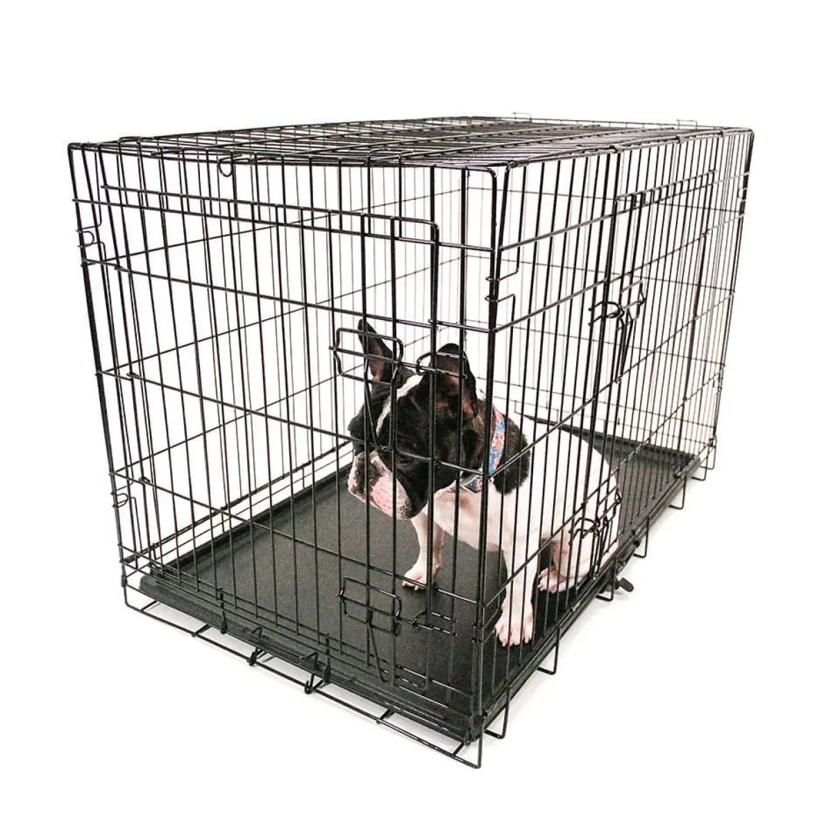 aeolus_double_door_crates_quot__quot_3.webp Ryan's Pet Supplies Aeolus Double Door Crates 36" - 48"