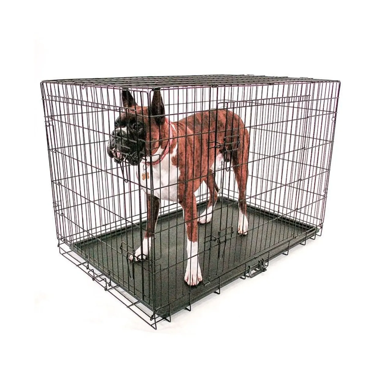 aeolus_double_door_crates_quot__quot_6.webp Ryan's Pet Supplies Aeolus Double Door Crates 36" - 48"