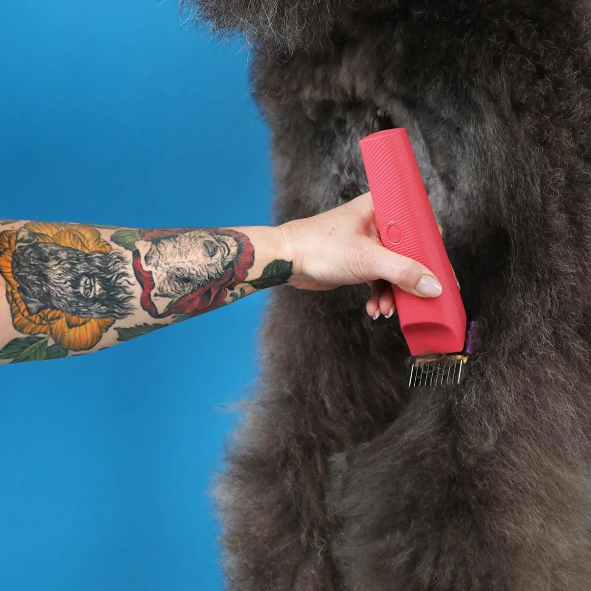 andis_raspberry_vida_cordless_clipper_4.webp Ryan's Pet Supplies Andis Raspberry Vida Cordless Clipper