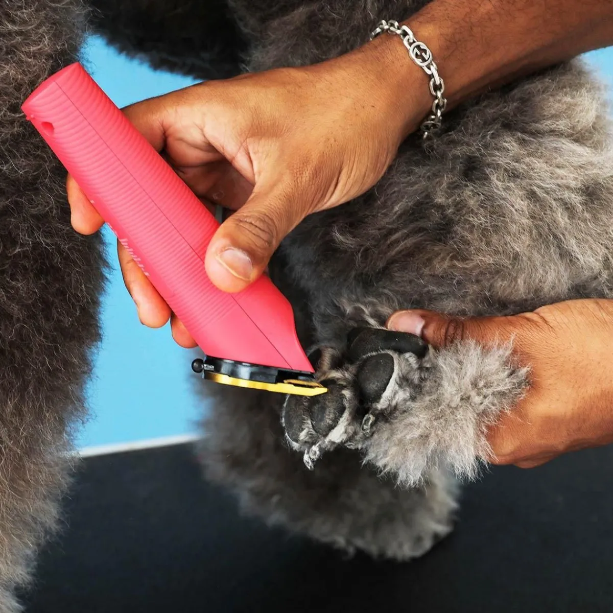 andis_raspberry_vida_cordless_clipper_5.webp Ryan's Pet Supplies Andis Raspberry Vida Cordless Clipper