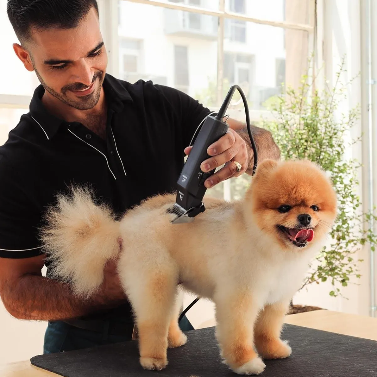 andis_speed_ag_clipper_w__blade_4.webp Ryan's Pet Supplies Andis 2-Speed AG Clipper W/ #10 Blade