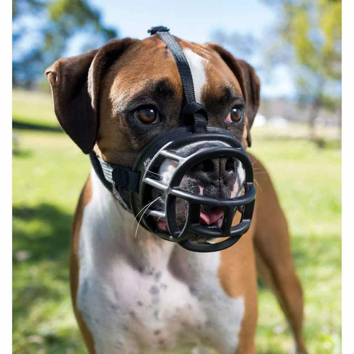 Ryan's Pet Supplies Baskerville Ultra Muzzle Size 2 Westie