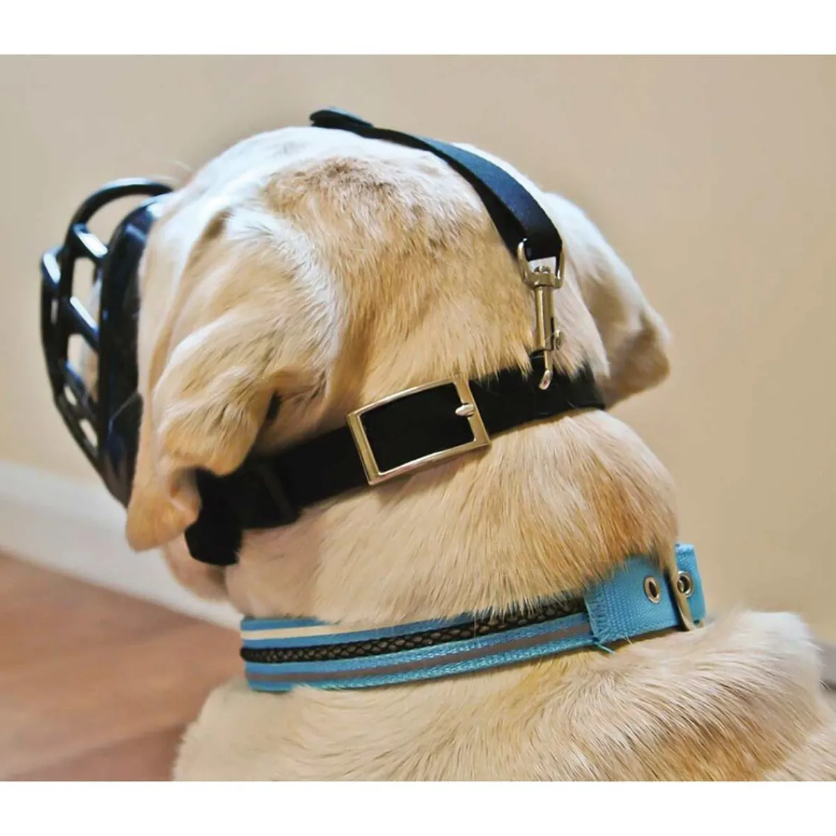 Ryan's Pet Supplies Baskerville Ultra Muzzle Size 2 Westie