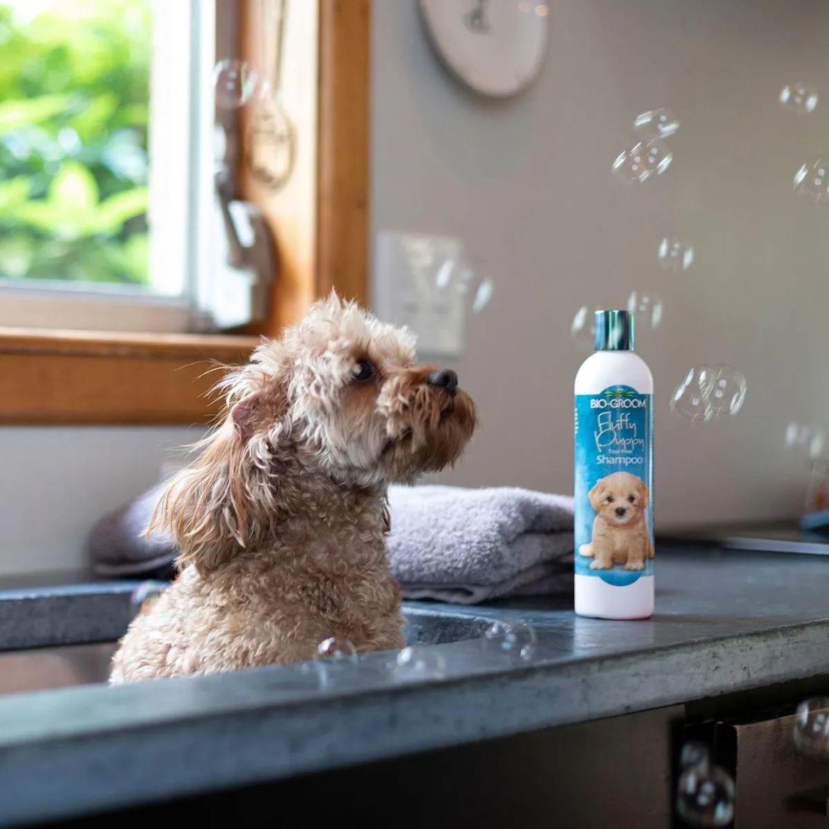 biogroom_fluffy_puppy_shampoo_rtu_2.webp Ryan's Pet Supplies Bio-Groom Fluffy Puppy Shampoo RTU