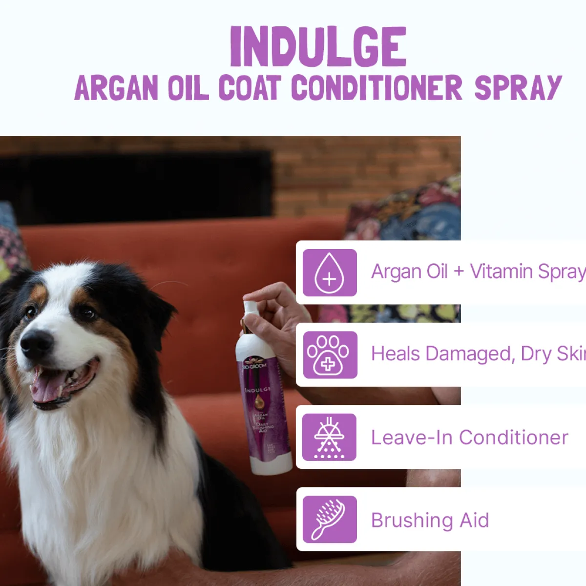 biogroom_indulge_daily_brushing_spray_with_argan_oil___oz_3.webp Ryan's Pet Supplies Bio-Groom Indulge Daily Brushing Spray with Argan Oil - 8 oz