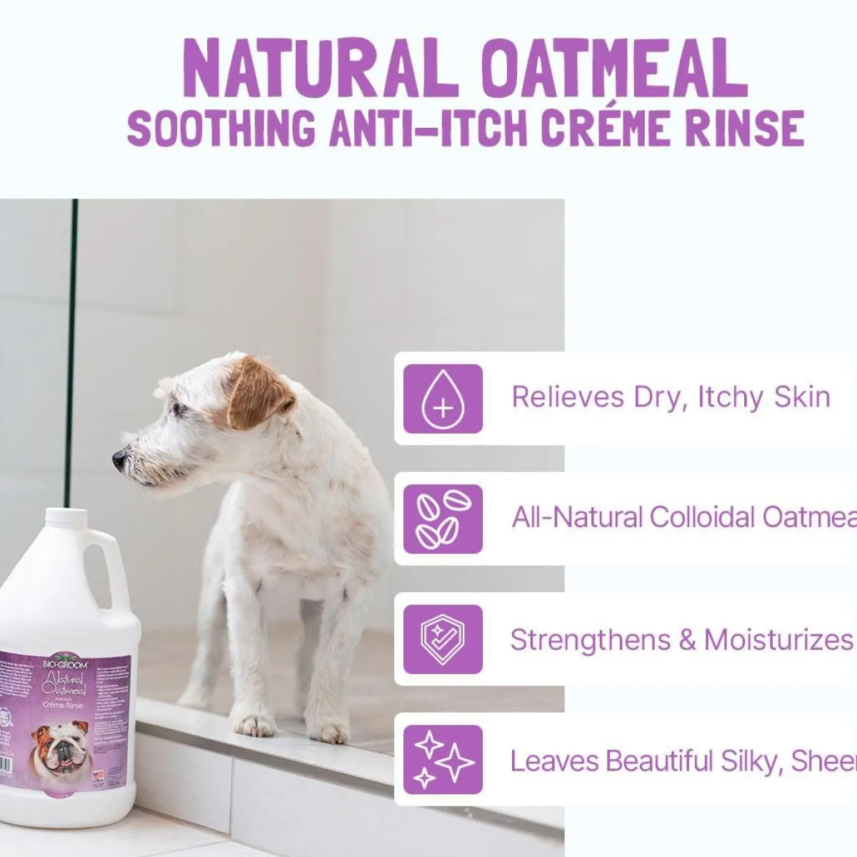 biogroom_natural_oatmeal_antiitch_creme_rinse__2.webp Ryan's Pet Supplies Bio-Groom Natural Oatmeal Anti-Itch Creme Rinse 4:1