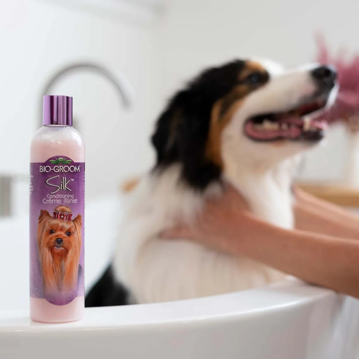 biogroom_silk_creme_rinse_conditioner__2.webp Ryan's Pet Supplies Bio-Groom Silk Creme Rinse Conditioner 4:1