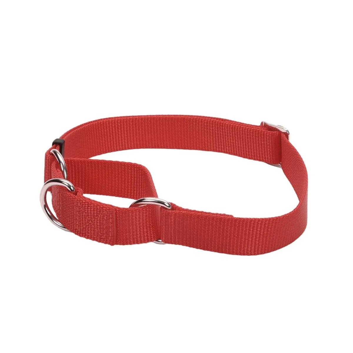 coastal_no_slip_martingale_collar_quot_2.webp Ryan's Pet Supplies Coastal No Slip! Martingale Collar 5/8"