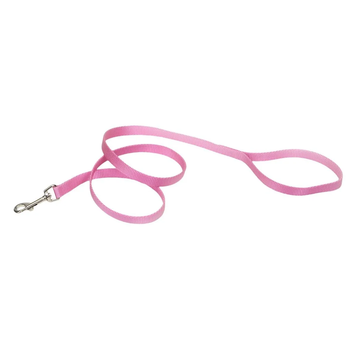 coastal_nylon_dog_leash_for_small_breeds__x_quot_3.webp Ryan's Pet Supplies Coastal Nylon Dog Leash for Small Breeds 6' x 1"