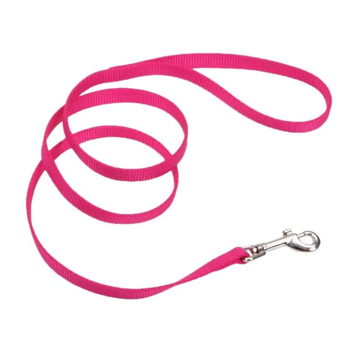 coastal_nylon_dog_leash_for_small_breeds__x_quot_4.webp Ryan's Pet Supplies Coastal Nylon Dog Leash for Small Breeds 6' x 1"