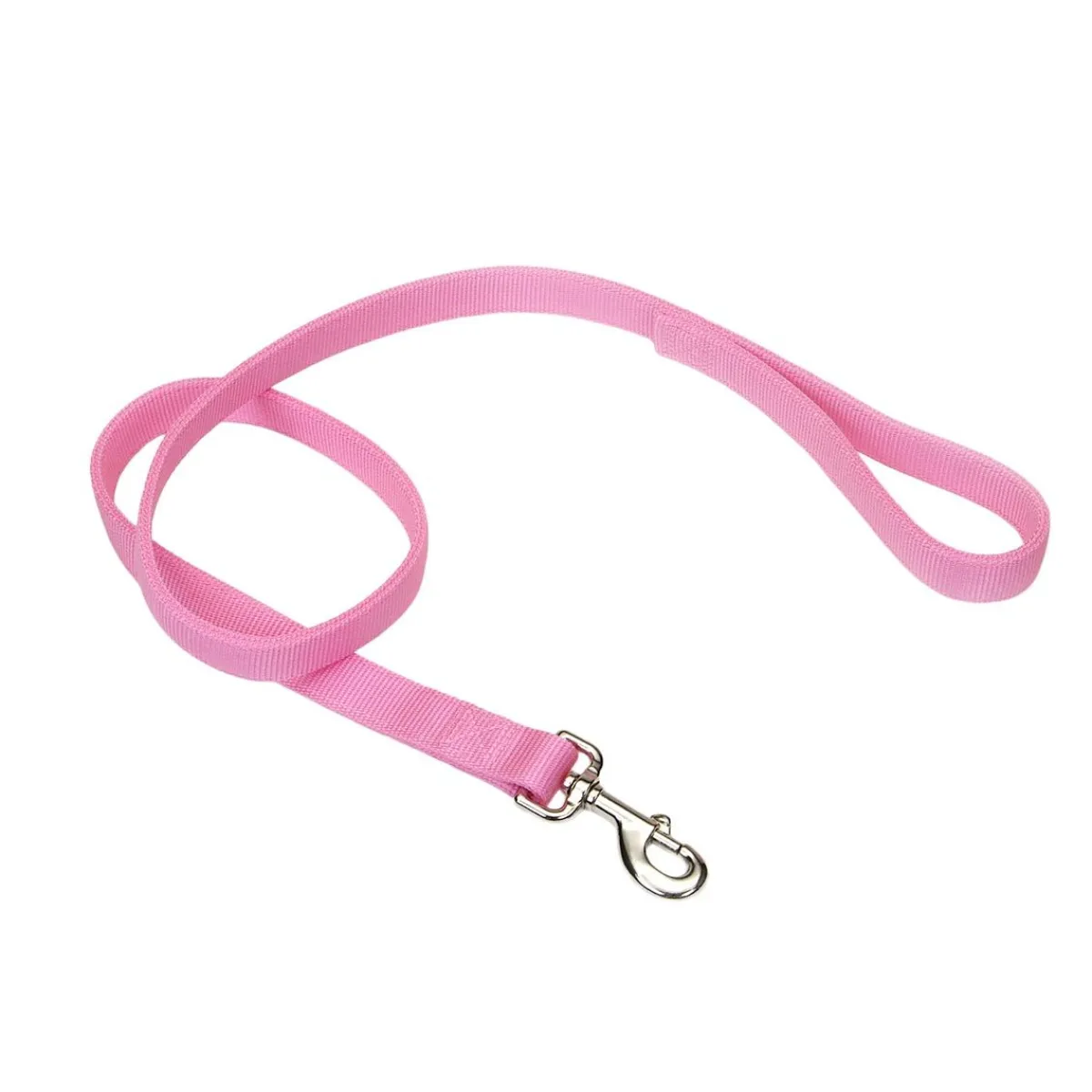coastal_nylon_leads__ply__x__2.webp Ryan's Pet Supplies Coastal Nylon Leads 2 Ply 4' X 1''