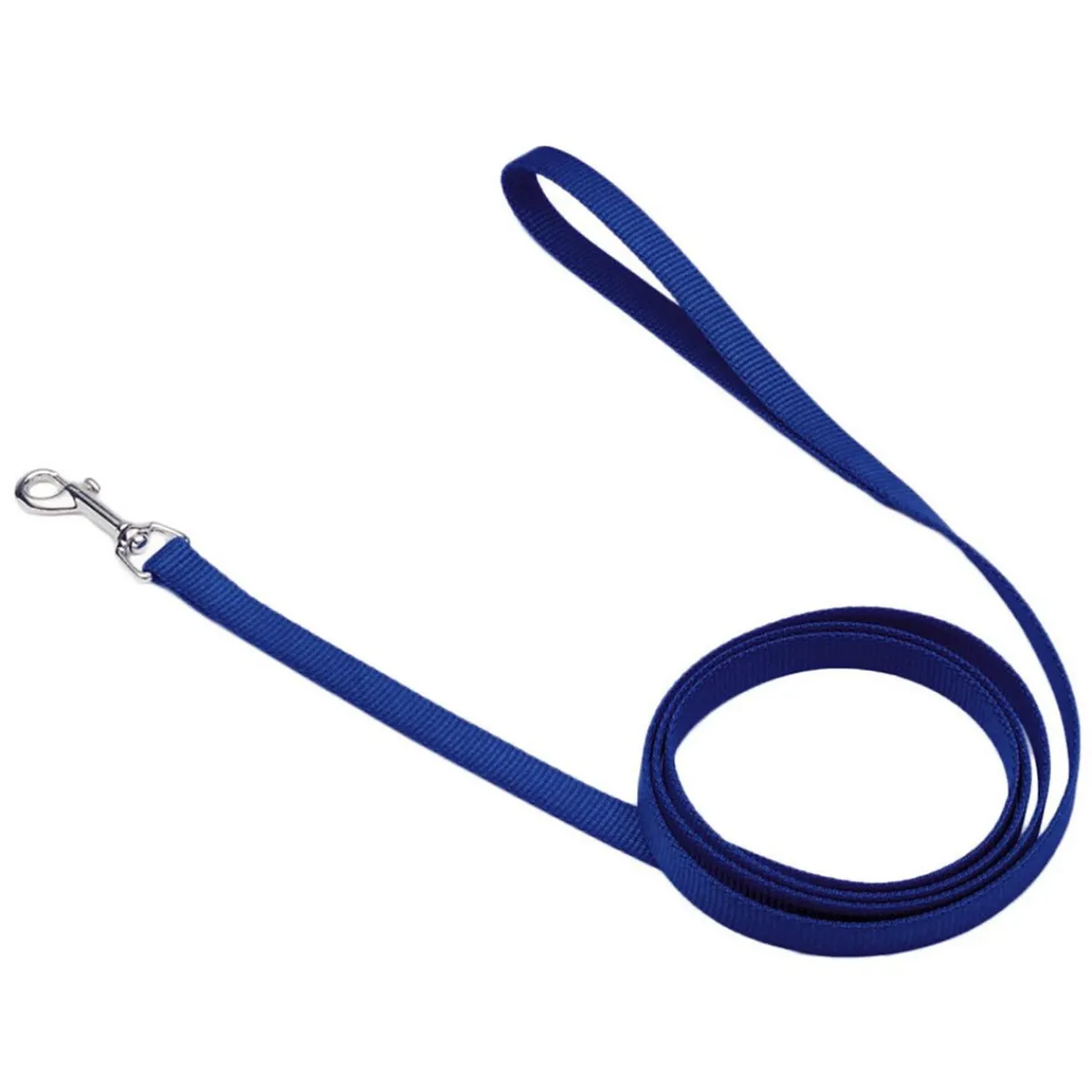 coastal_nylon_leads__x__2-1.webp Ryan's Pet Supplies Coastal Nylon Leads 4' X 5/8''
