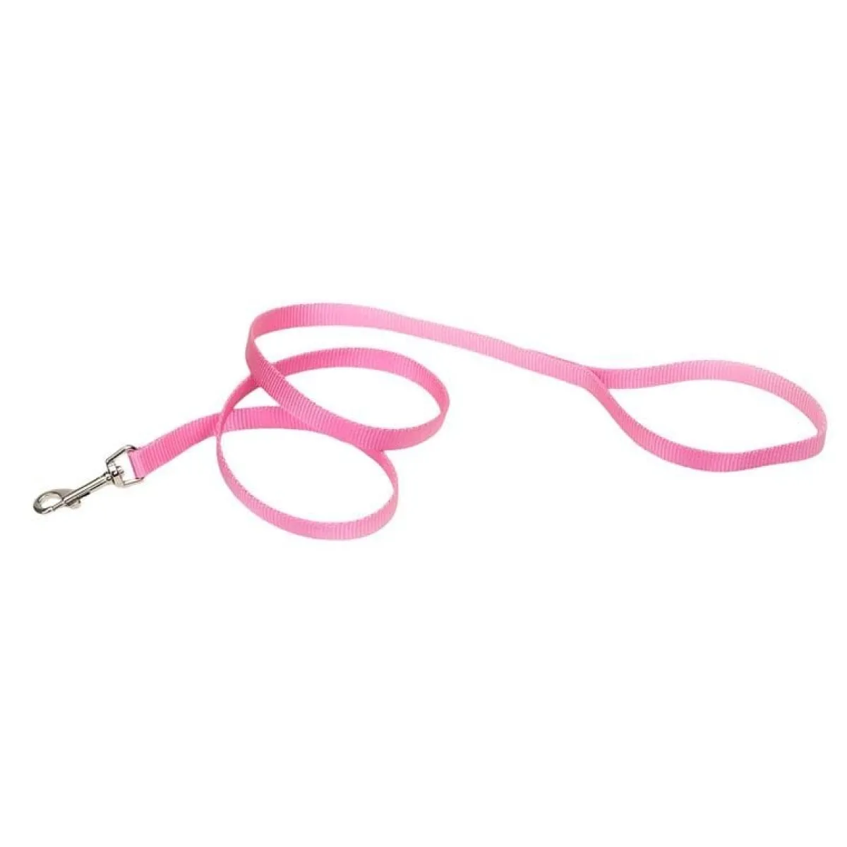 coastal_nylon_leads__x__3-1.webp Ryan's Pet Supplies Coastal Nylon Leads 4' X 5/8''
