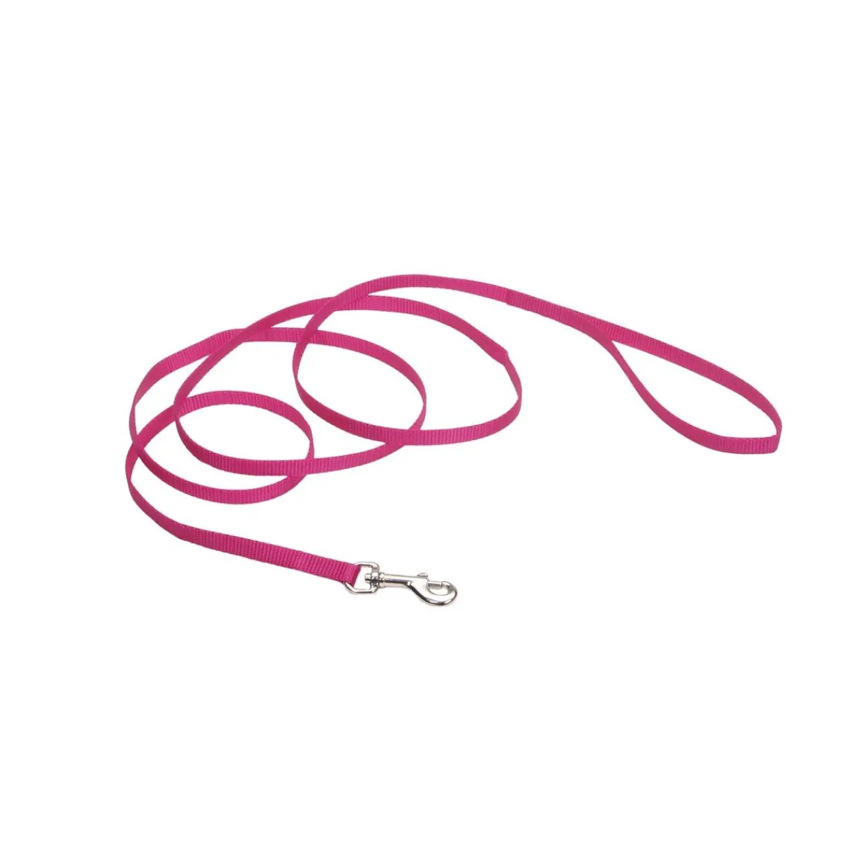 coastal_nylon_leads__x__4-2.webp Ryan's Pet Supplies Coastal Nylon Leads 4' X 3/8''