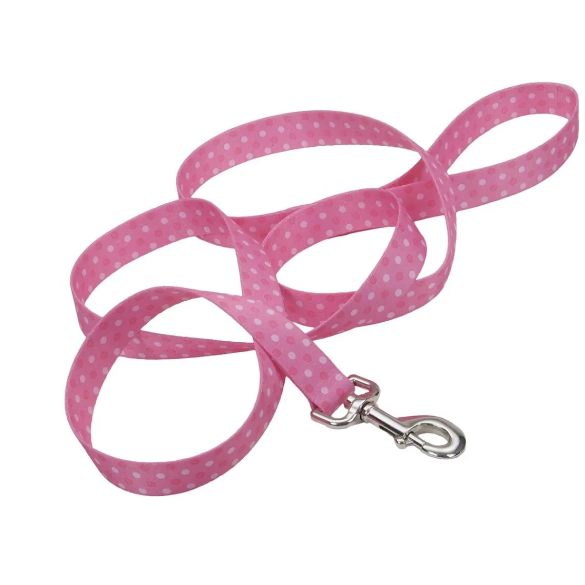 coastal_nylon_leads__x__5.webp Ryan's Pet Supplies Coastal Nylon Leads 4' X 1''