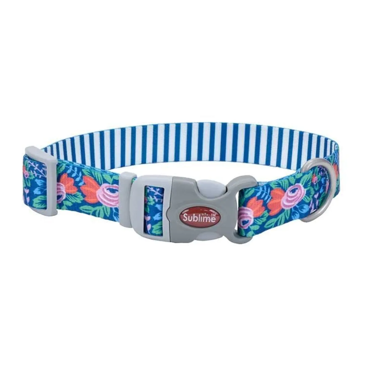 coastal_sublime_collar_quot_adjust_quot_2.webp Ryan's Pet Supplies Coastal Sublime Collar 1" Adjust 12-18"