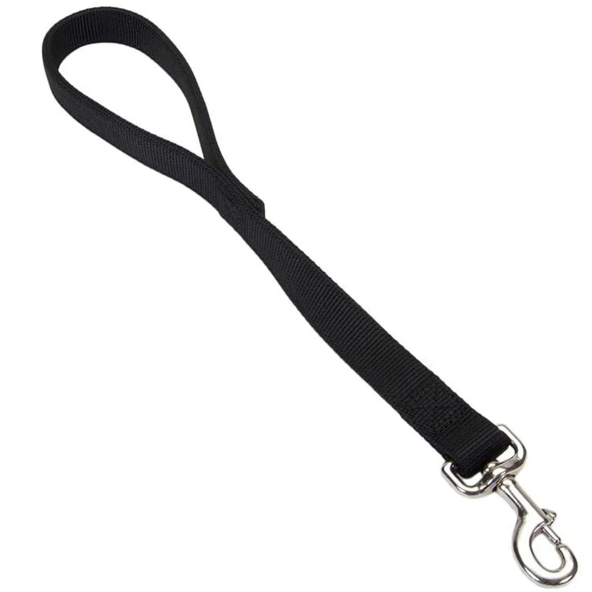 Ryan's Pet Supplies Coastal Traffic Lead 2 Ply 1" x 24"