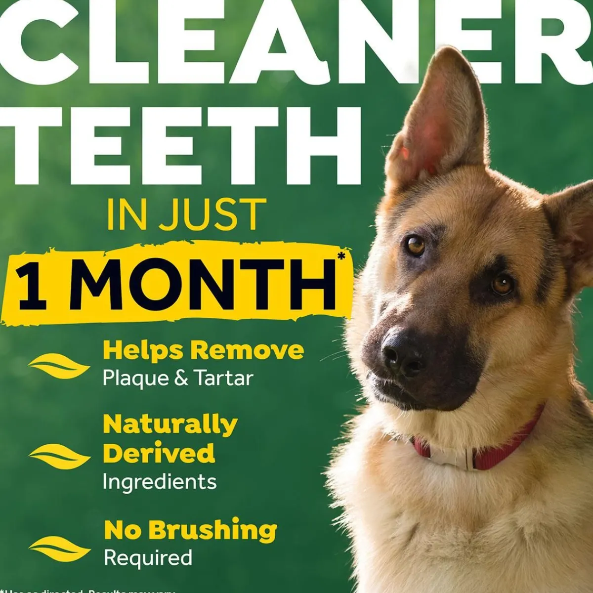 fresh_breath_by_tropiclean_clean_teeth_oral_care_gel_oz_2.webp Ryan's Pet Supplies Fresh Breath by TropiClean Clean Teeth Oral Care Gel 2oz