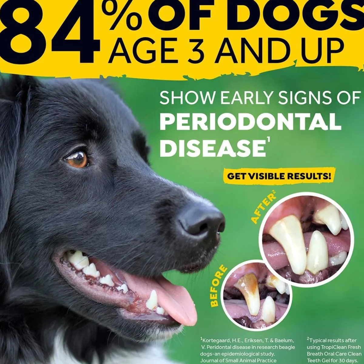 fresh_breath_by_tropiclean_clean_teeth_oral_care_gel_oz_3.webp Ryan's Pet Supplies Fresh Breath by TropiClean Clean Teeth Oral Care Gel 2oz