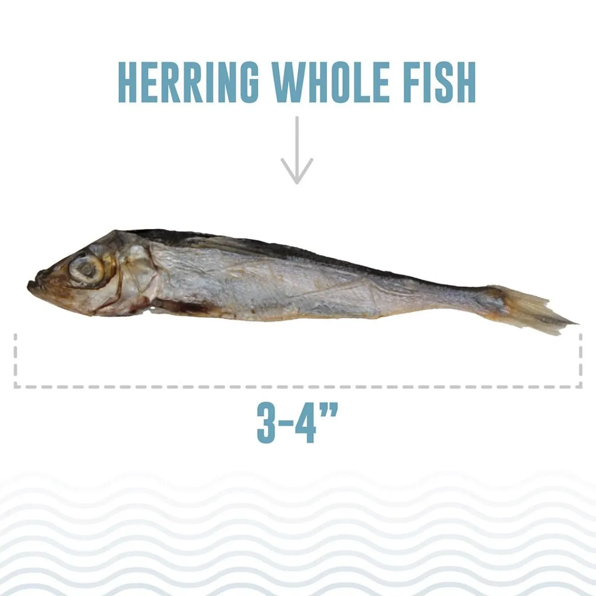 icelandic_herring_whole_fish_healthy_dog_treats_3.webp Ryan's Pet Supplies Icelandic+ Herring Whole Fish Healthy Dog Treats