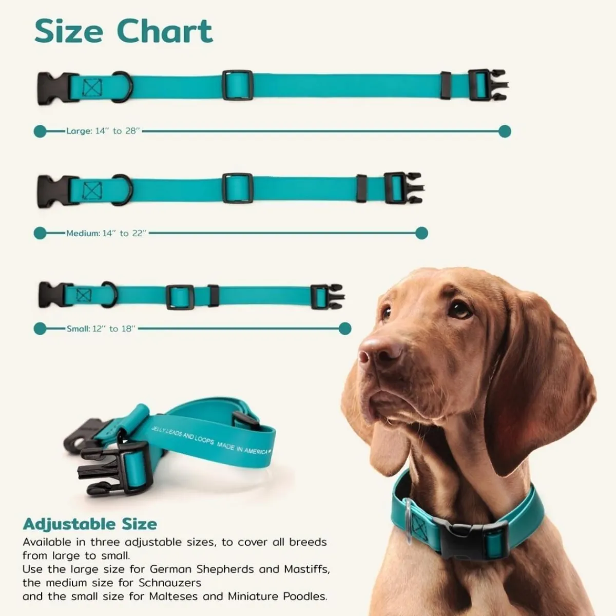 jelly_pet_biothane_dog_collar__large_quot_x__4.webp Ryan's Pet Supplies Jelly Pet BioThane® Dog Collar - Large (1" x 16''-24'')
