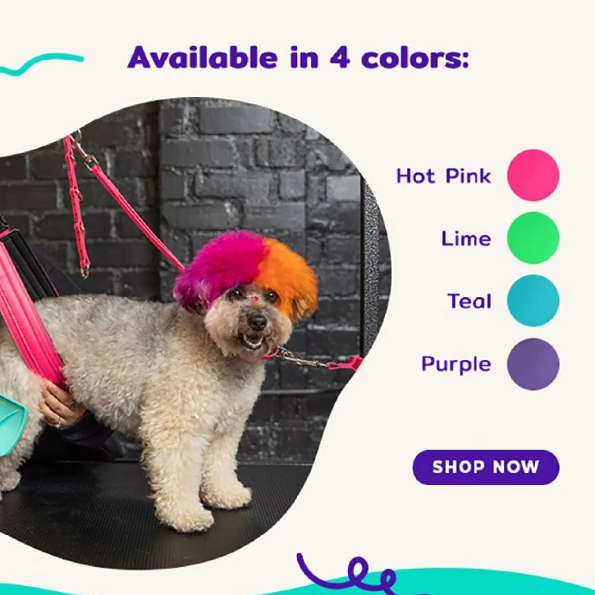jelly_pet_pro_pack_2.webp Ryan's Pet Supplies Jelly Pet Pro Pack