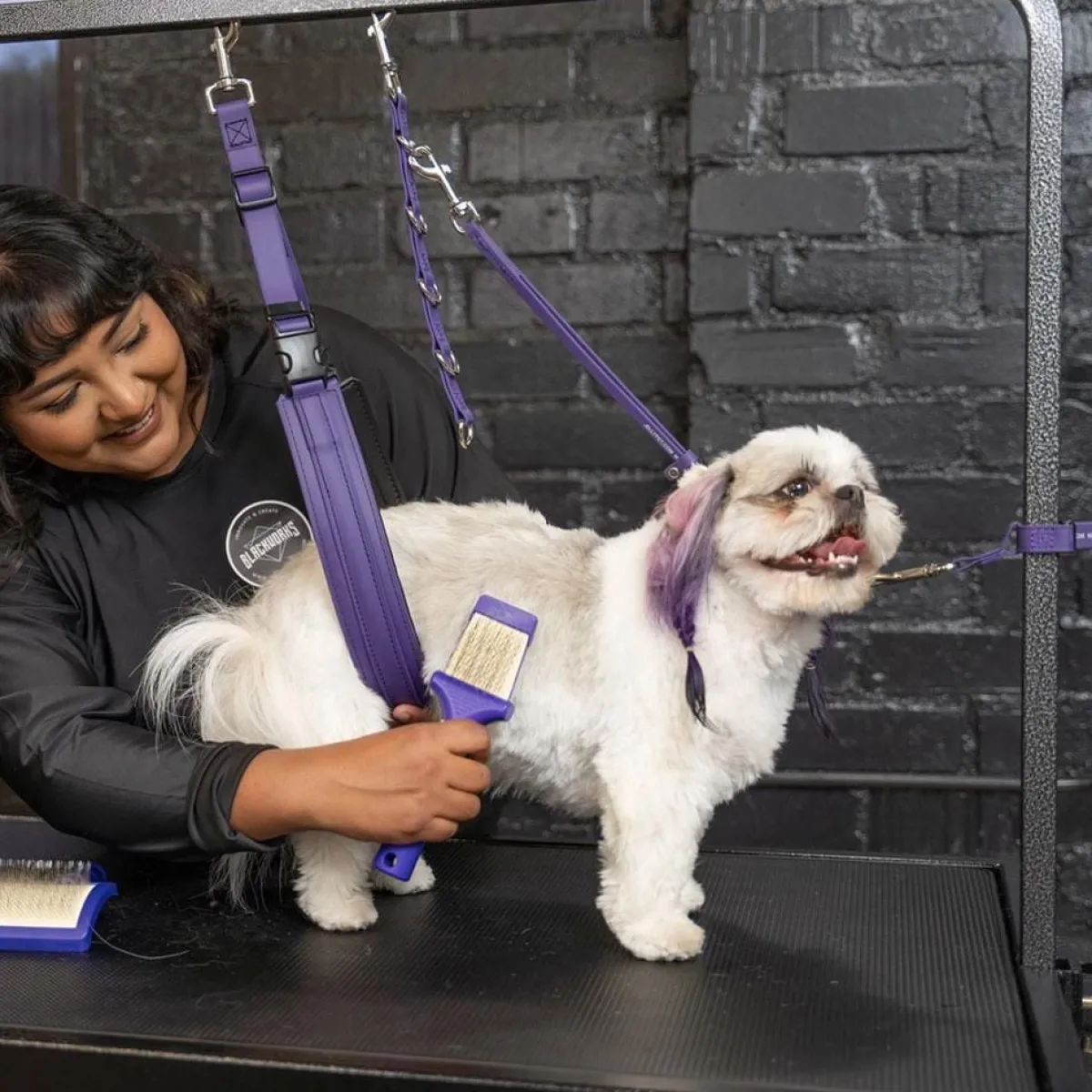 jelly_pet_pro_pack_8.webp Ryan's Pet Supplies Jelly Pet Pro Pack