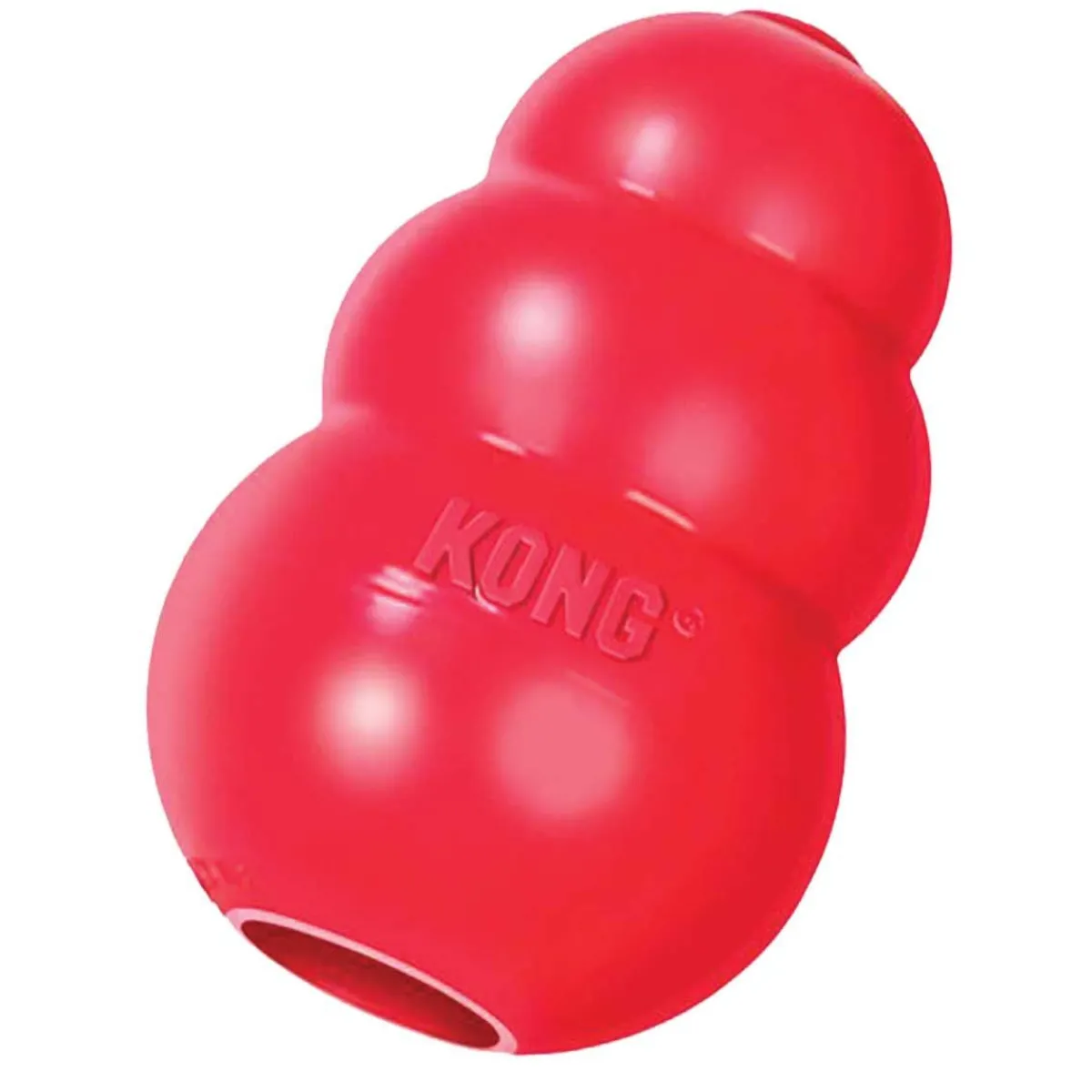 Ryan's Pet Supplies Large Red KONG®
