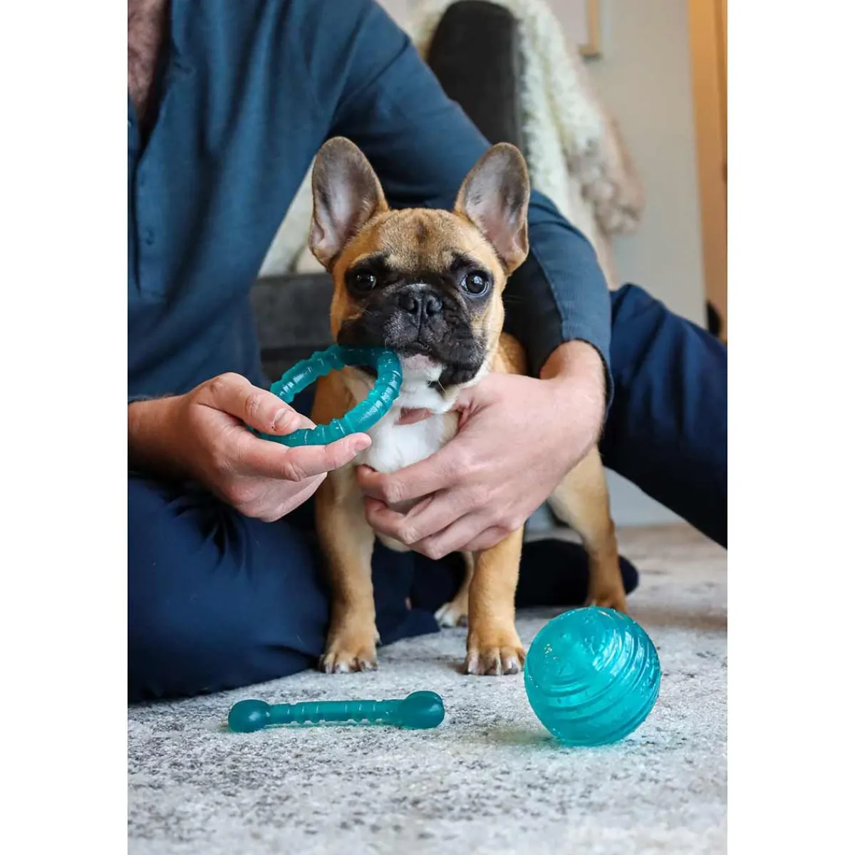 Ryan's Pet Supplies Li'l Pals Antimicrobial 3" Ball