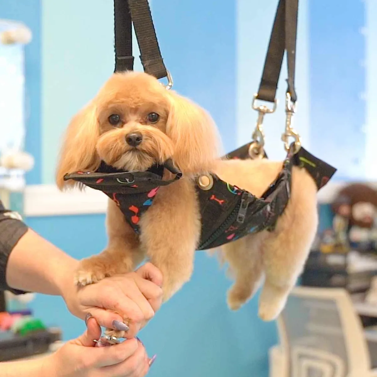 loyalty_pet_products__nail_grooming_hammock_2.webp Ryan's Pet Supplies Loyalty Pet Products - Nail Grooming Hammock