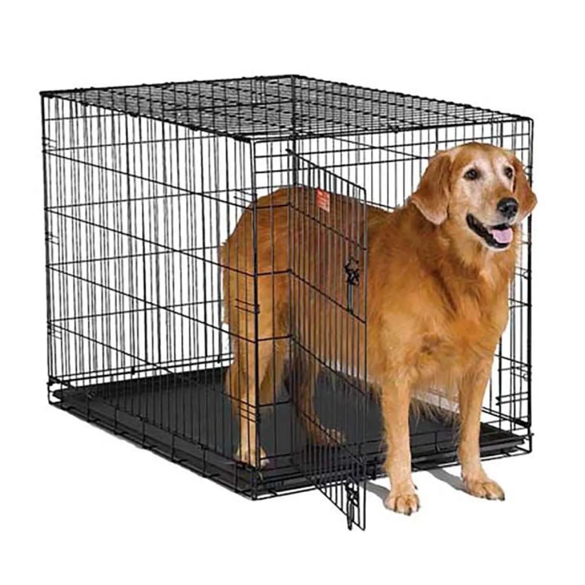 Ryan's Pet Supplies Midwest iCrate Single Door Metal Dog Crate - 42" X 28" X 30"