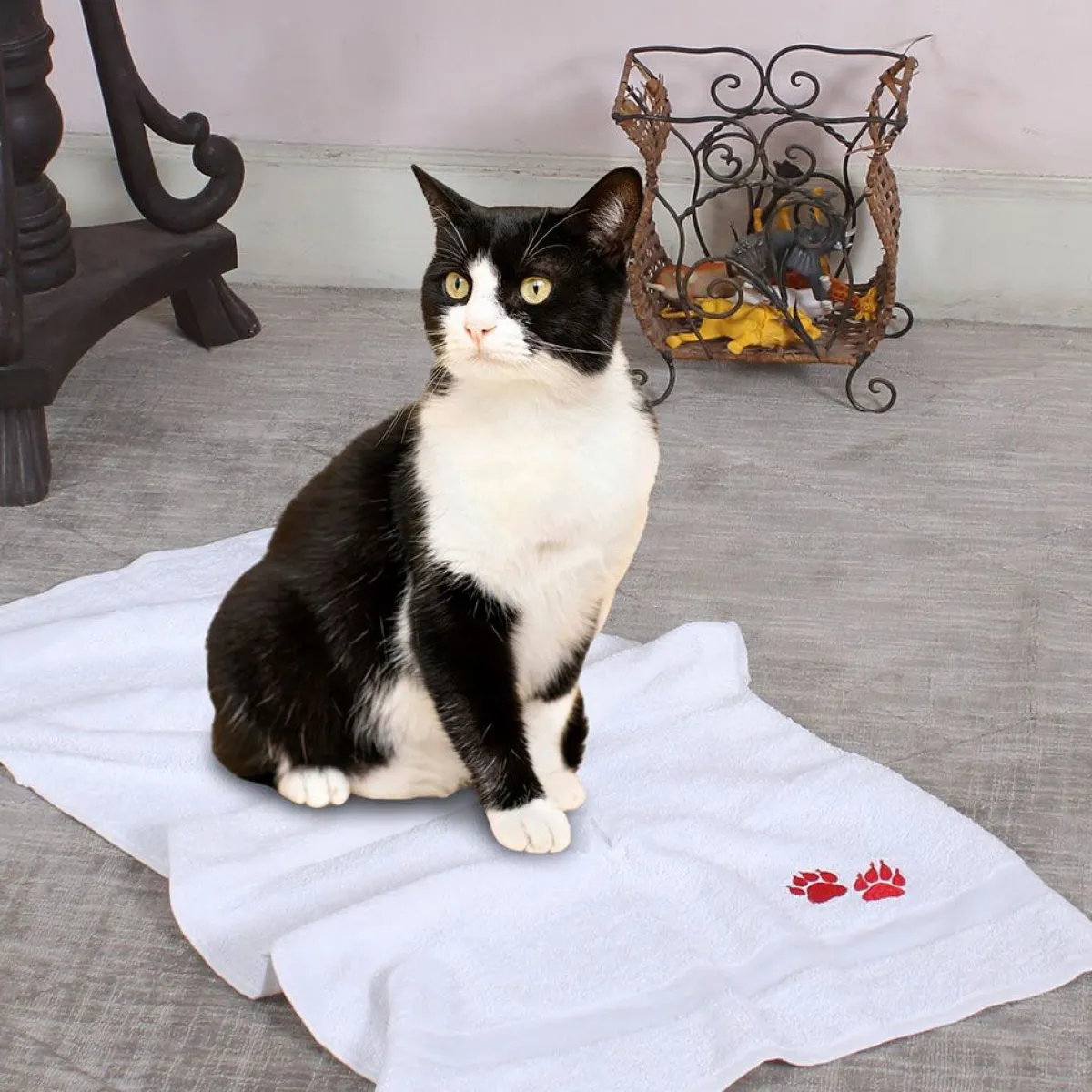 muddy_paws_towel_w_paws_quot_x_quot___pack_2.webp Ryan's Pet Supplies Muddy Paws Towel w/ Paws 20" x 40" - 6 pack