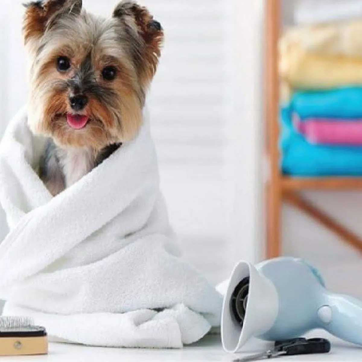 muddy_paws_towel_w_paws_quot_x_quot___pack_3.webp Ryan's Pet Supplies Muddy Paws Towel w/ Paws 20" x 40" - 6 pack