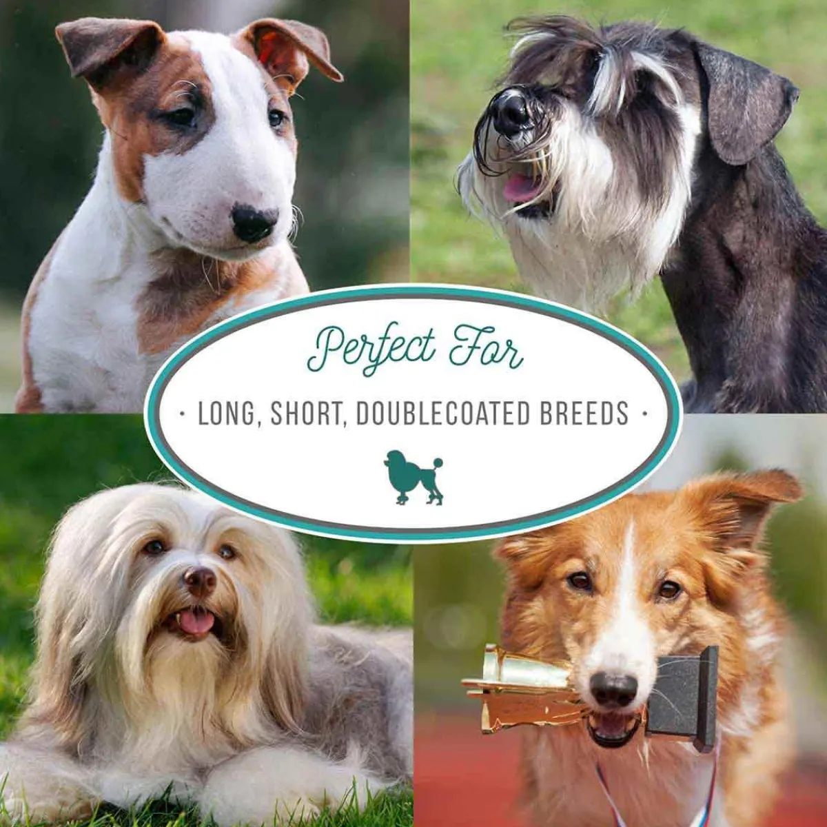 natures_specialties_ez_out_deshedding_pet_shampoo__6.webp Ryan's Pet Supplies Natures Specialties EZ OUT Deshedding Pet Shampoo 16:1