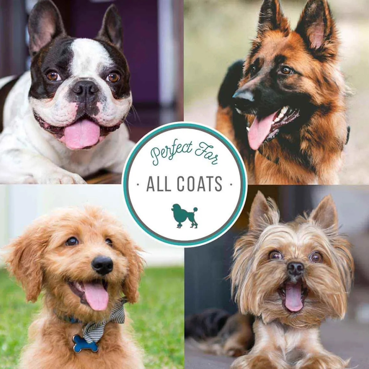 natures_specialties_yard_dog_shampoo__7.webp Ryan's Pet Supplies Nature's Specialties Yard Dog Shampoo 24:1
