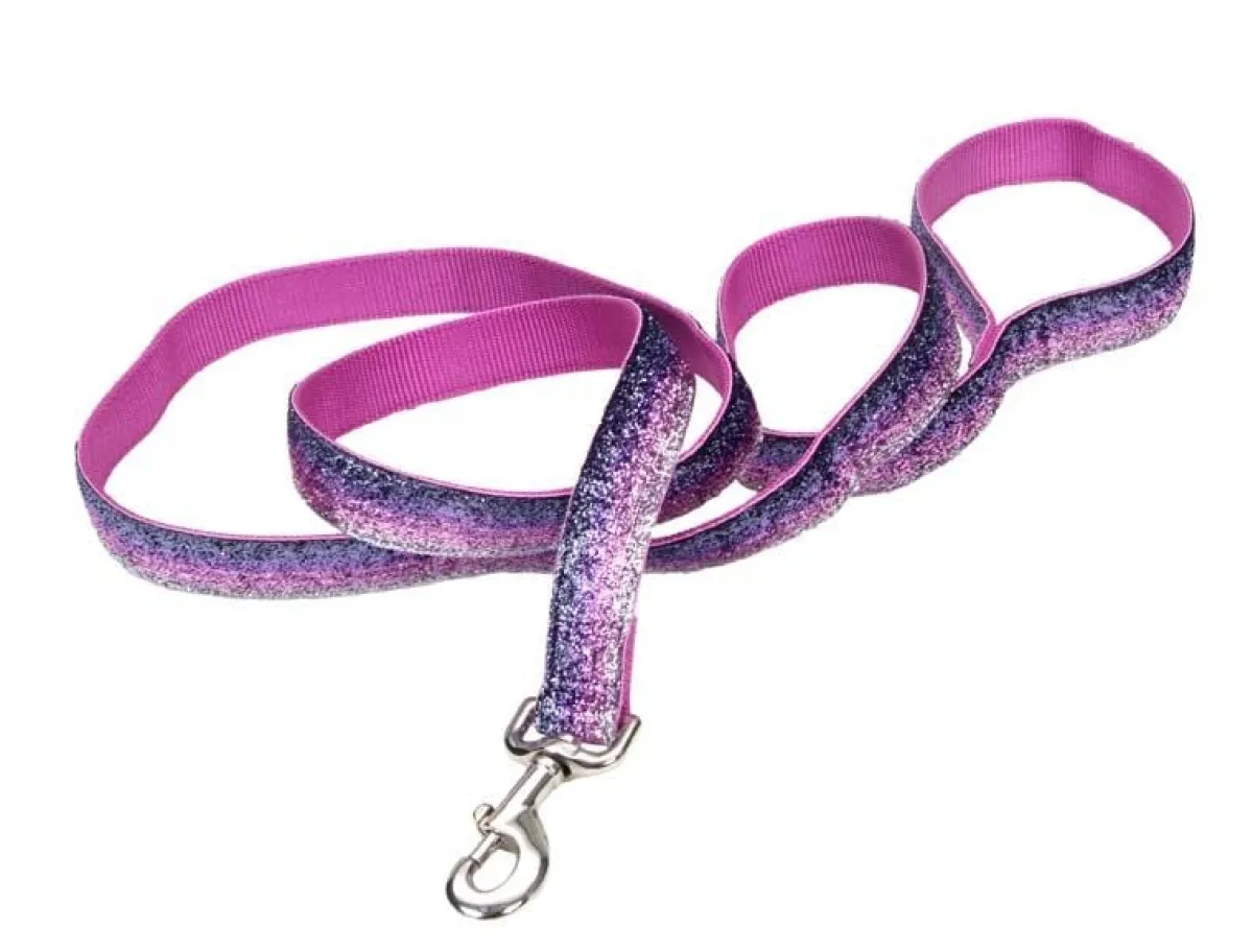 pet_attire_sparkles_leash_quot_x__3.webp Ryan's Pet Supplies Pet Attire Sparkles Leash 1" X 6'