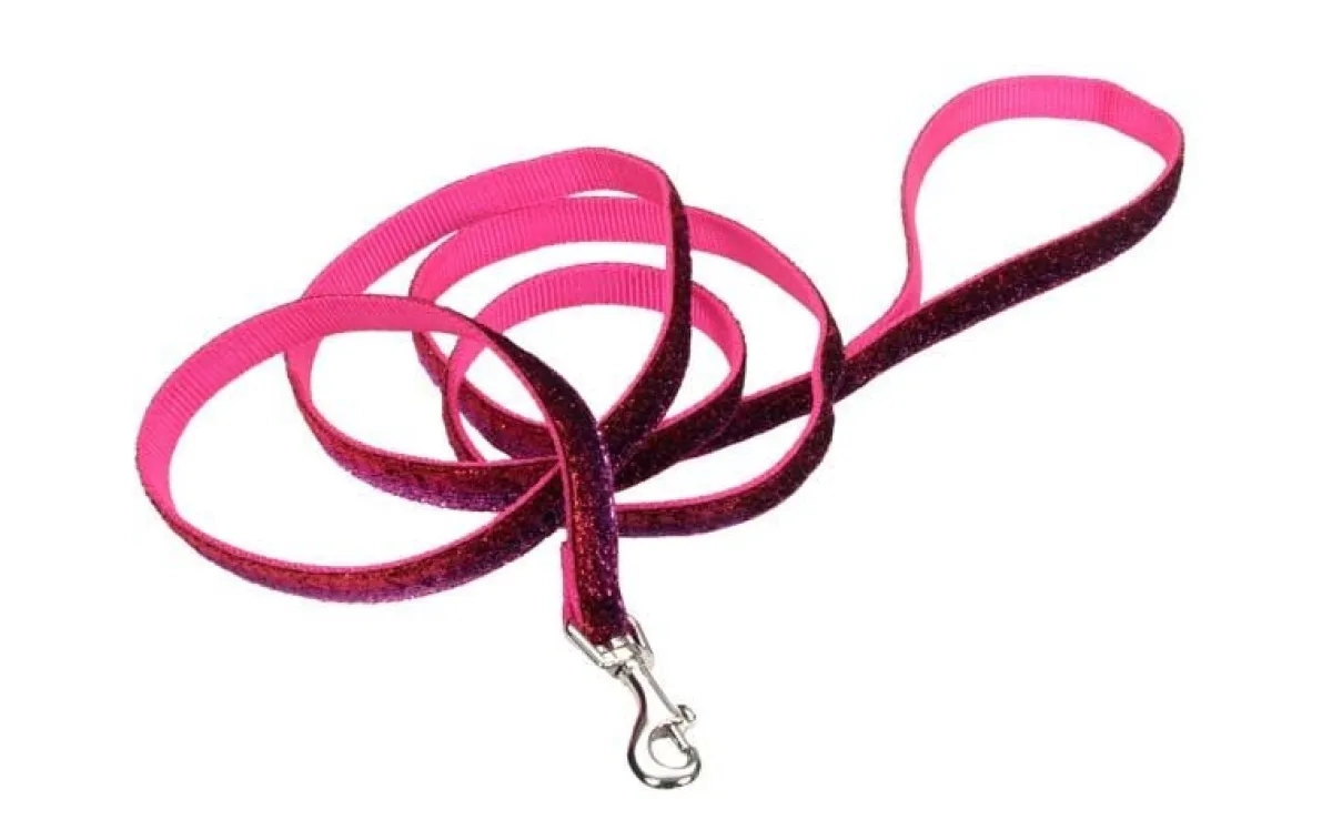 pet_attire_sparkles_leash_quot_x__4-1.webp Ryan's Pet Supplies Pet Attire Sparkles Leash 5/8" X 6'