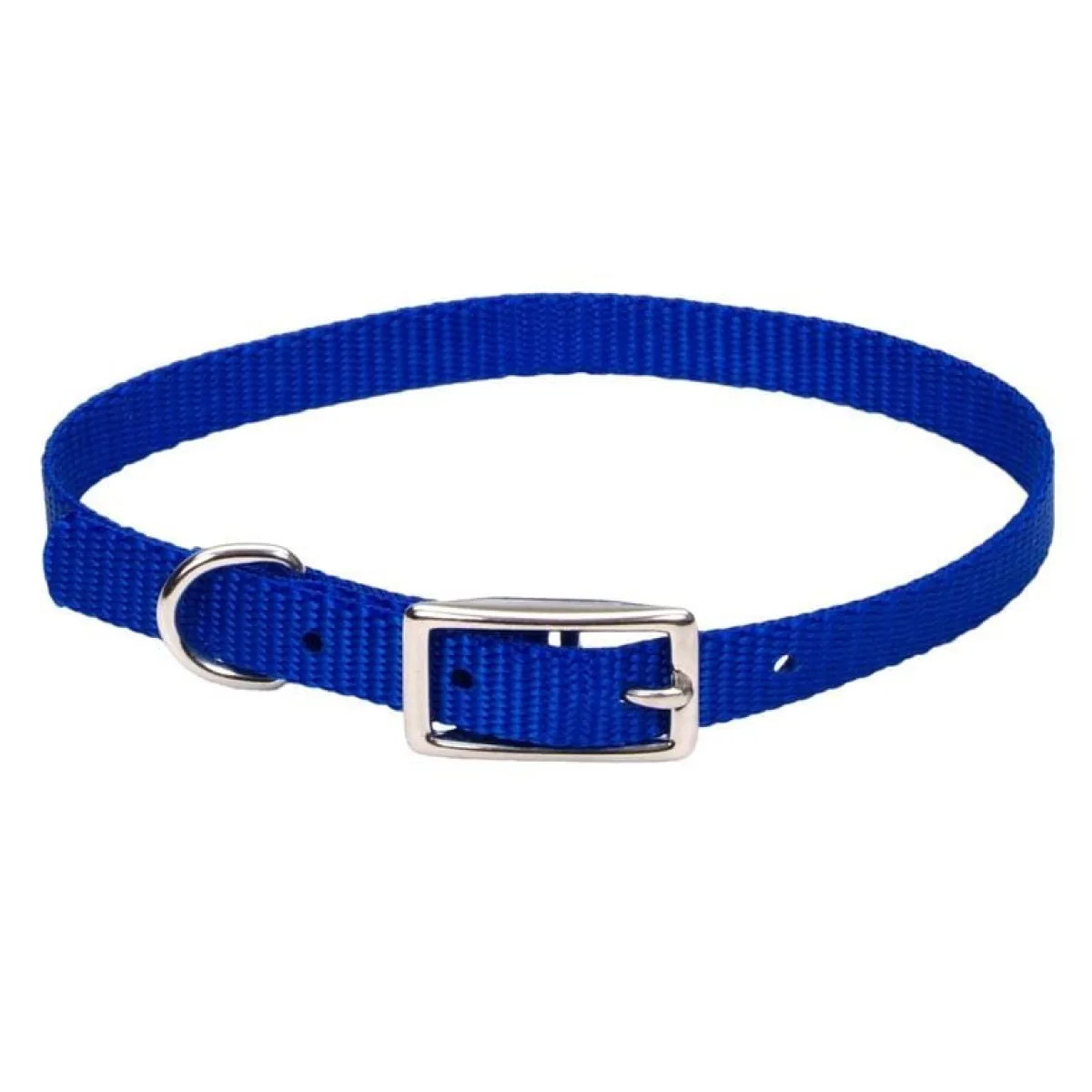 small_dog_nylon_collars_quot_2.webp Ryan's Pet Supplies Small Dog Nylon Collars 3/8"