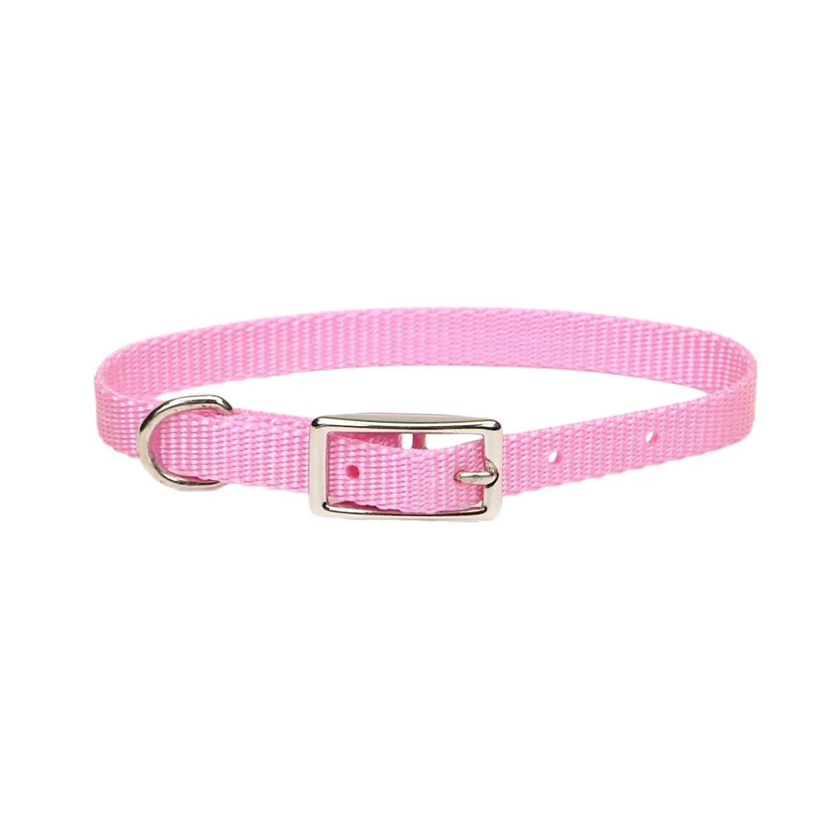 small_dog_nylon_collars_quot_3.webp Ryan's Pet Supplies Small Dog Nylon Collars 3/8"