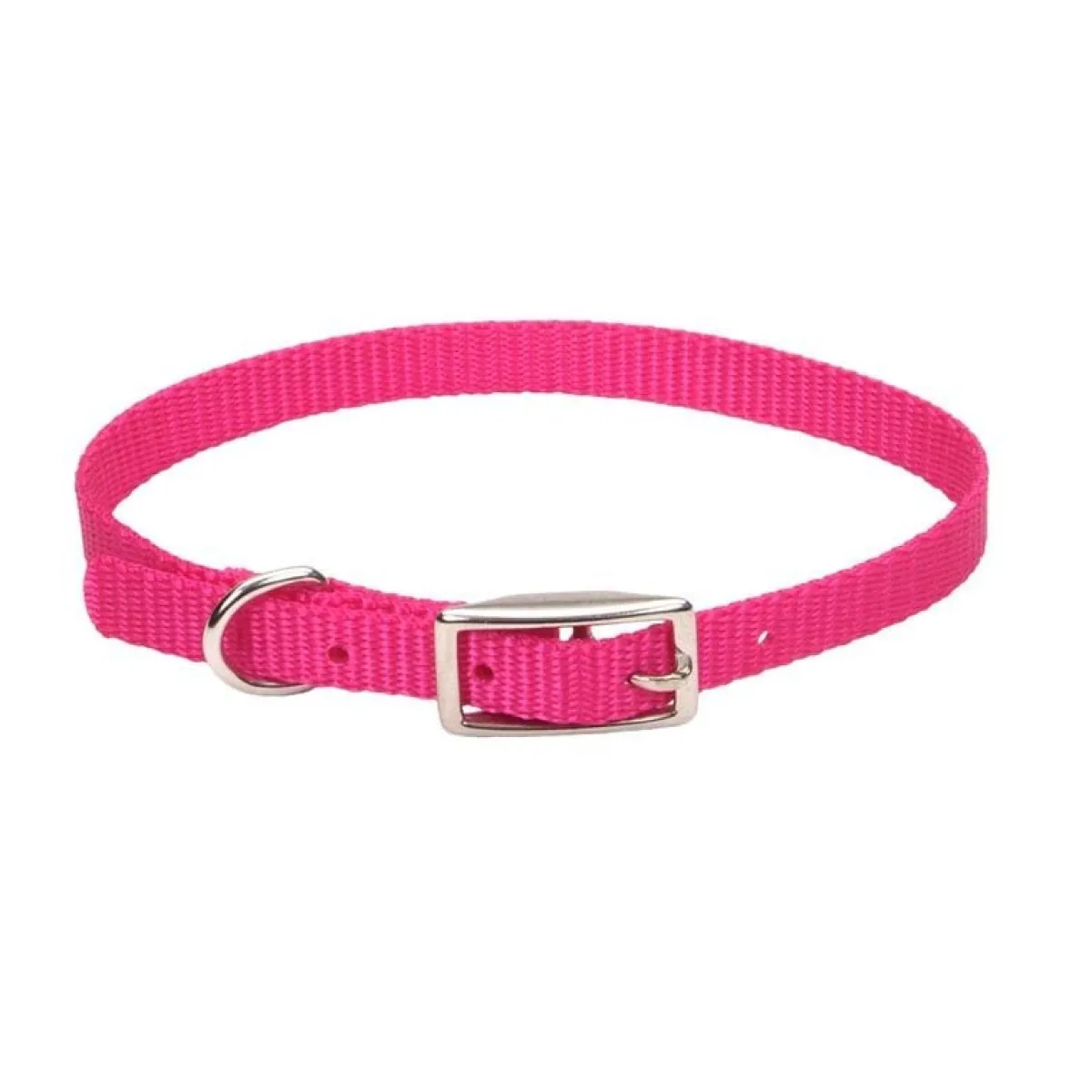 small_dog_nylon_collars_quot_4.webp Ryan's Pet Supplies Small Dog Nylon Collars 3/8"