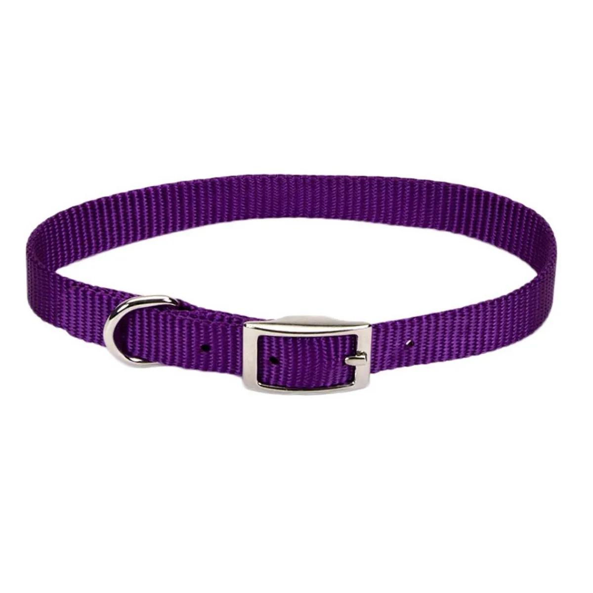 small_dog_nylon_collars_quot_5.webp Ryan's Pet Supplies Small Dog Nylon Collars 3/8"