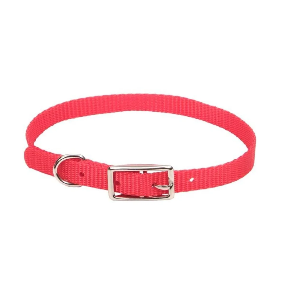 small_dog_nylon_collars_quot_6.webp Ryan's Pet Supplies Small Dog Nylon Collars 3/8"