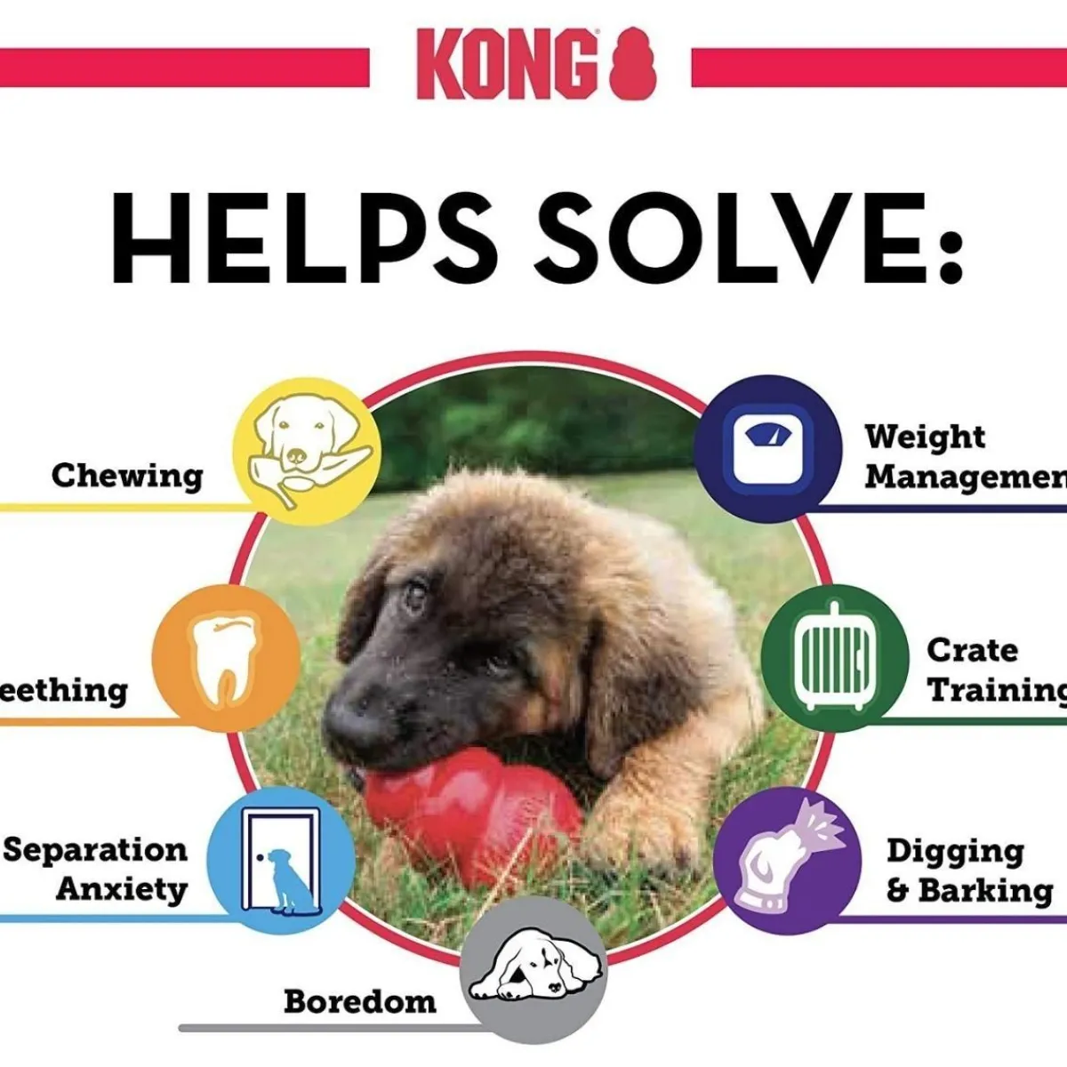 small_kong_extreme_quot_2.webp Ryan's Pet Supplies Small KONG® Extreme 3"