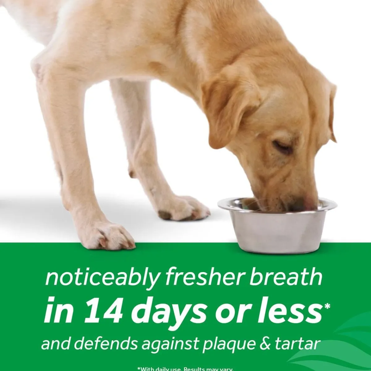 tropiclean_dental_health_water_additive_for_dogs_oz_4.webp Ryan's Pet Supplies Tropiclean Dental Health Water Additive For Dogs (16oz)