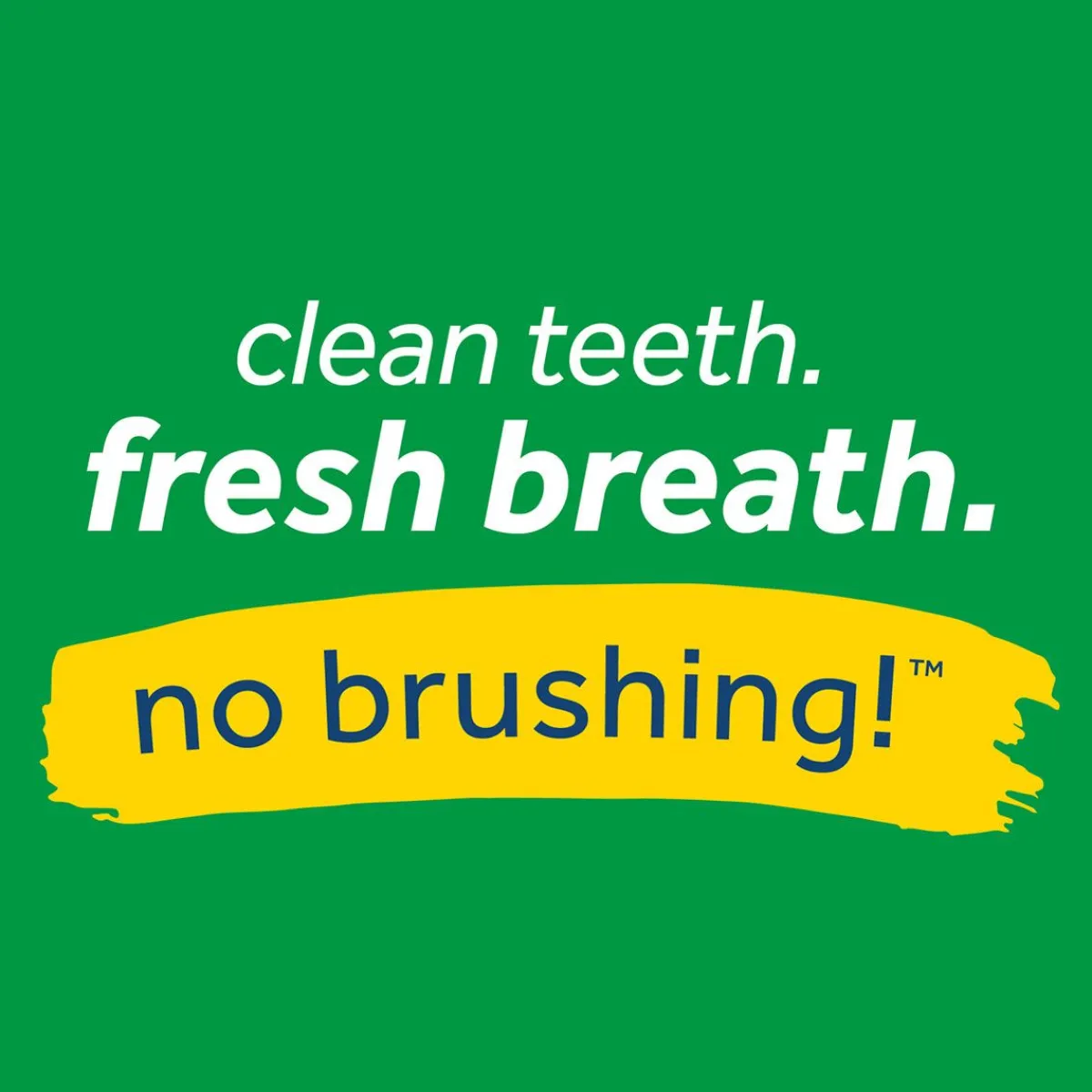tropiclean_fresh_breath_oral_care_fresh_mint_foam__oz_5.webp Ryan's Pet Supplies Tropiclean Fresh Breath Oral Care Fresh Mint Foam 4.5 oz