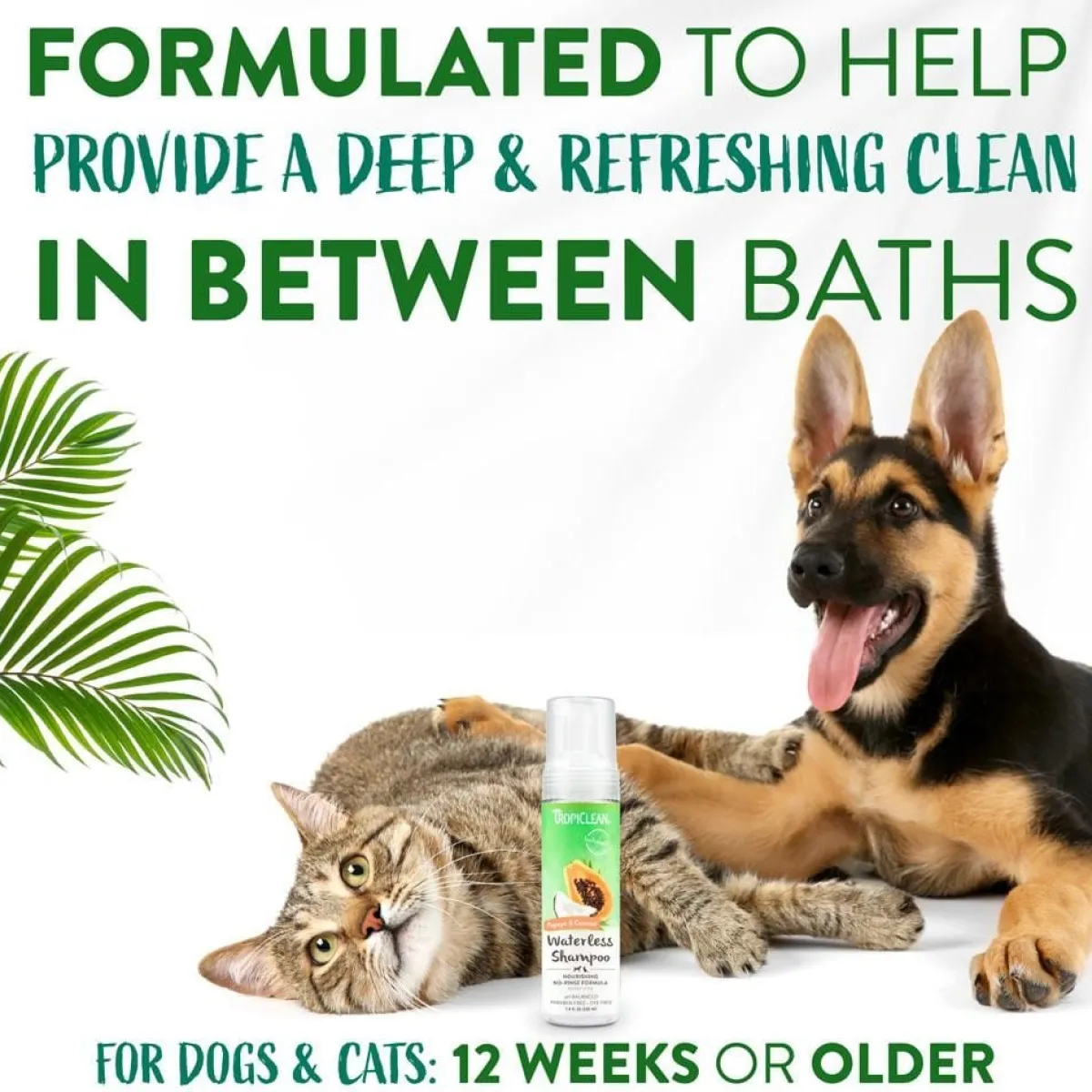 tropiclean_watermelon_waterless_shampoo___oz_3.webp Ryan's Pet Supplies TropiClean Watermelon Waterless Shampoo - 7.4 oz