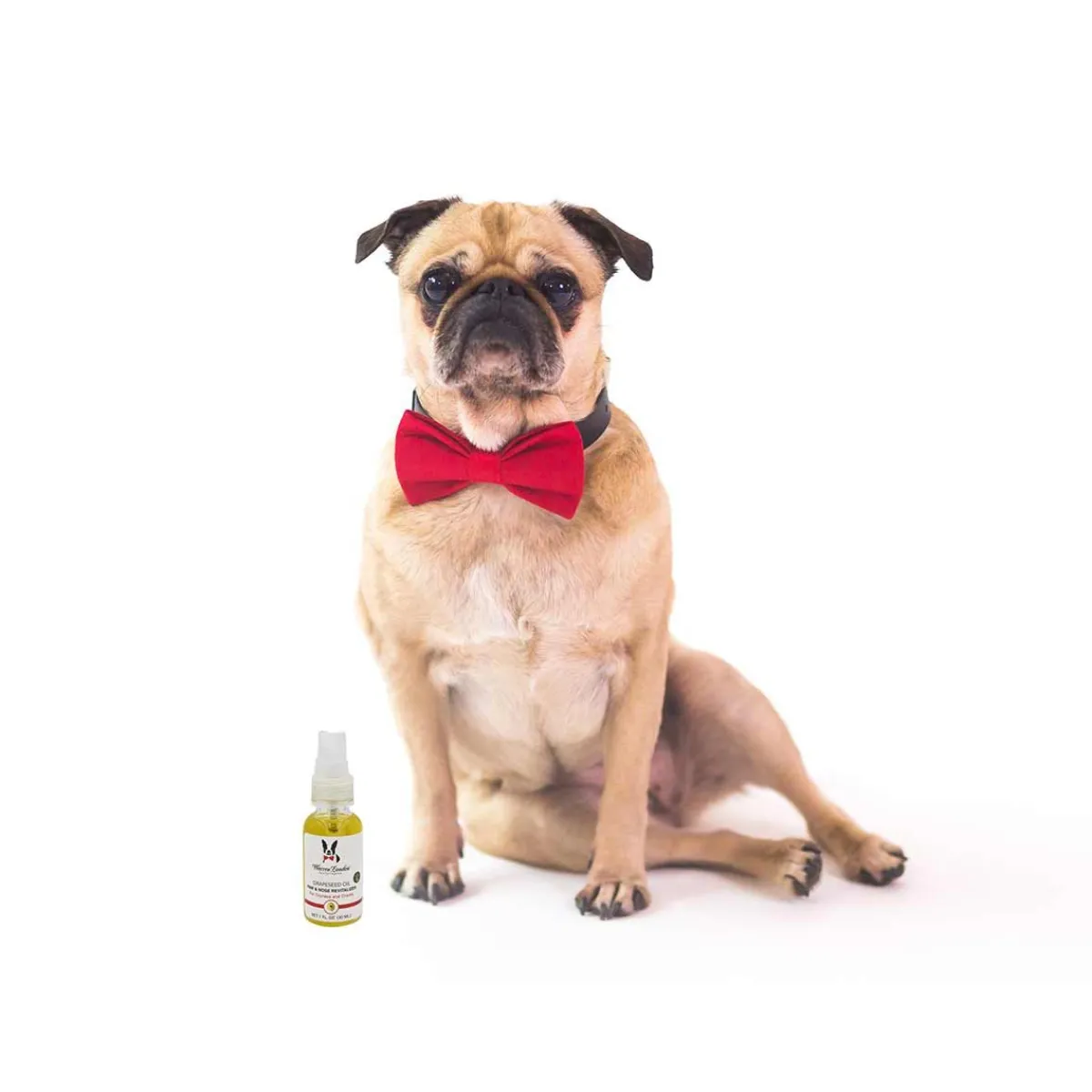 warren_london_grapeseed_oil_paw_revitalizer_5.webp Ryan's Pet Supplies Warren London Grapeseed Oil Paw Revitalizer